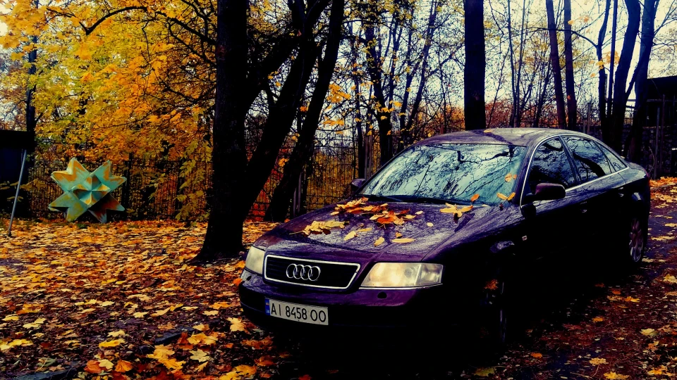 Audi A6 Черепашка 2