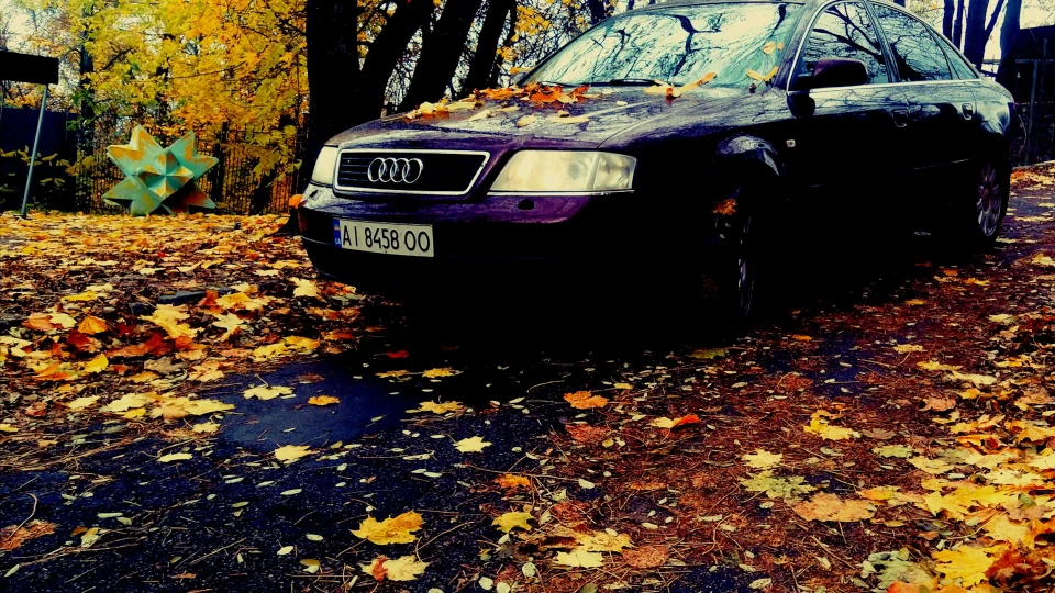 Audi A6 Черепашка 3