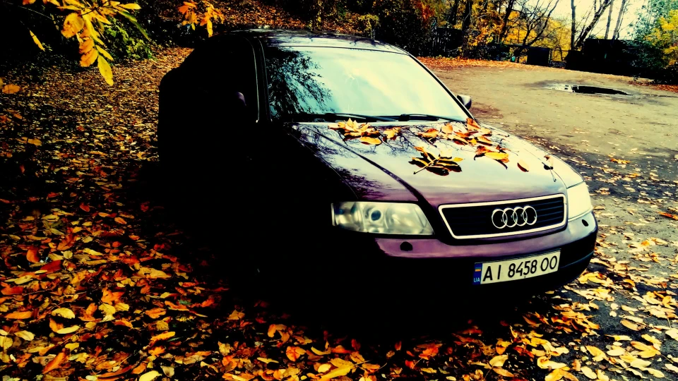 Audi A6 Черепашка 4