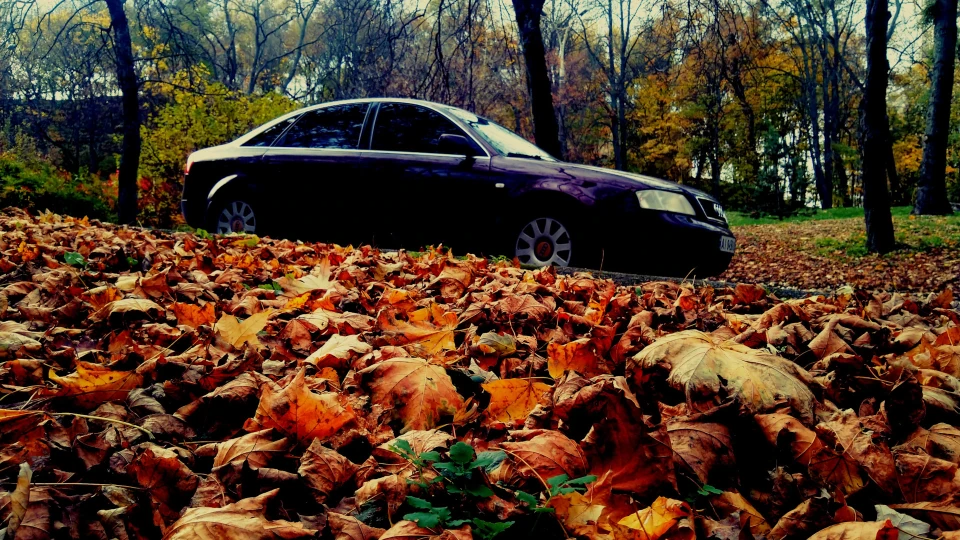 Audi A6 Черепашка 5