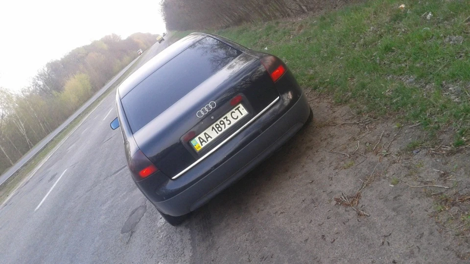 Cherepaha Na Turbe 5