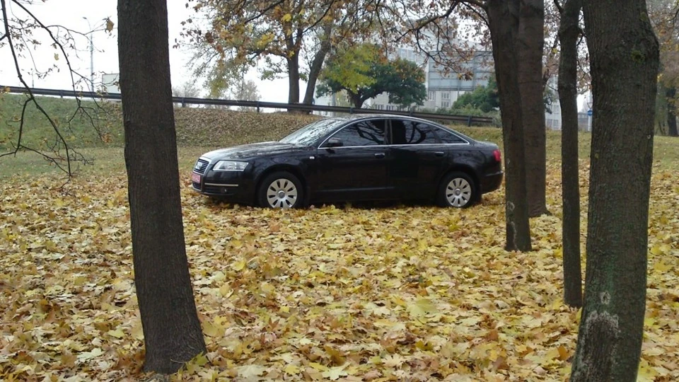 Audi A6 ЧОРНА КАВА З КОН'ЯКОМ 3