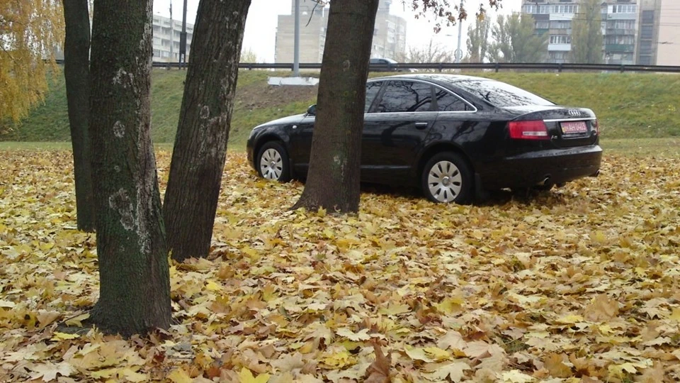 Audi A6 ЧОРНА КАВА З КОН'ЯКОМ 4