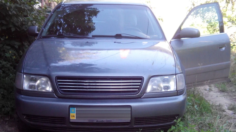 Audi A6 дикий сірий кіт 2