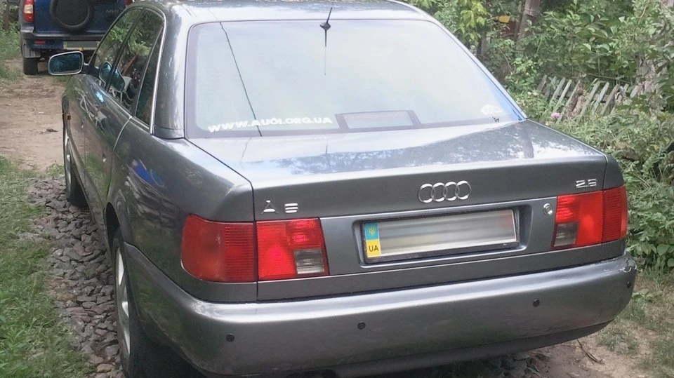Audi A6 дикий сірий кіт 3