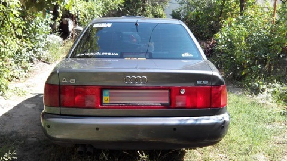 Audi A6 дикий сірий кіт 4