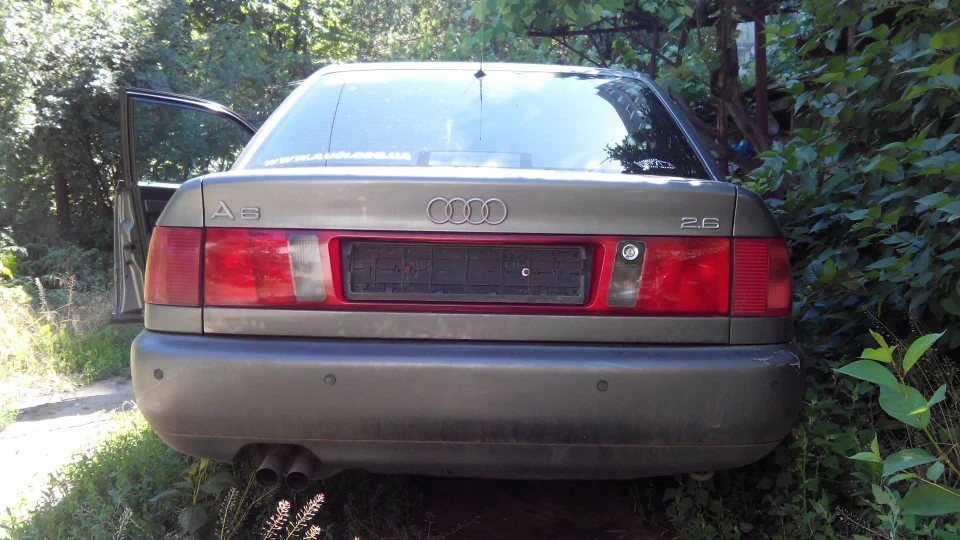 Audi A6 дикий сірий кіт 5