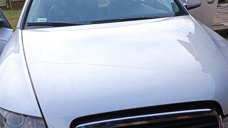 Audi A6 ZMN 🦎 2