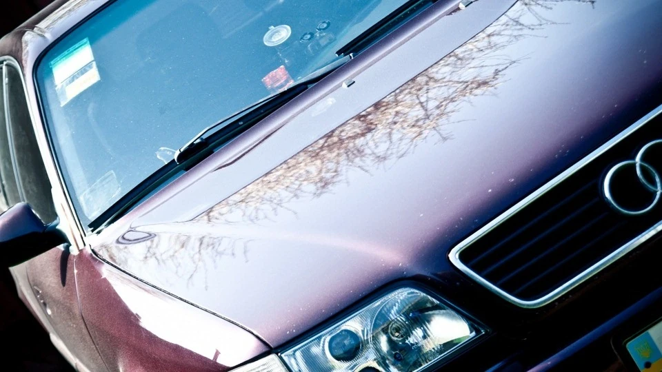 Audi A6 Звір 3
