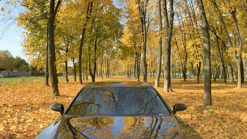 Audi A7 Sportback USA 5