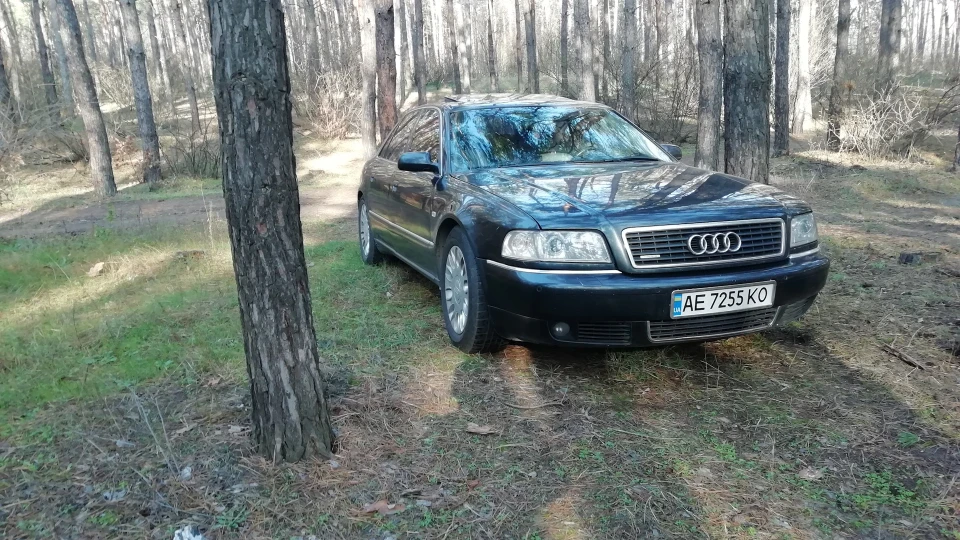 Audi A8