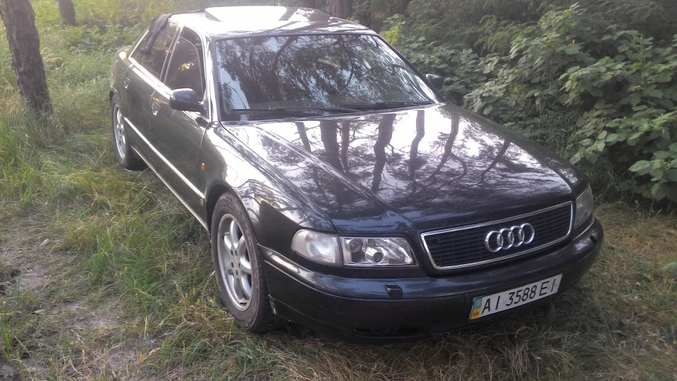 Audi A8 Авосечка усміхнена 5