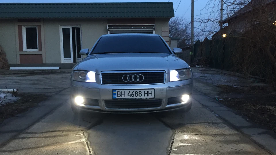Audi A8 Авоська 2