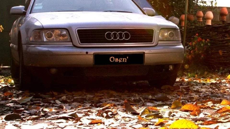 Audi A8 Osen' 2