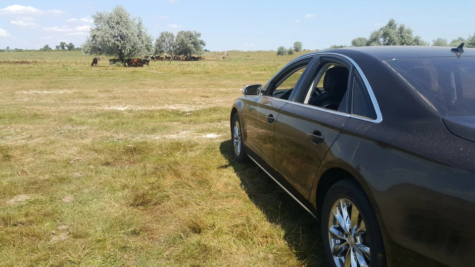 Audi A8 Шпрот 5
