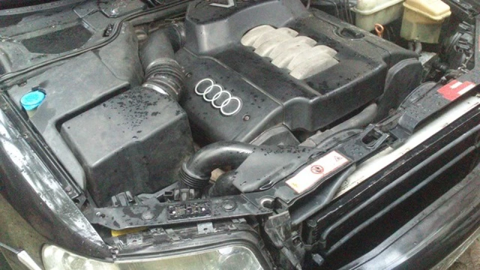 Audi A8 wilden raubtier 4
