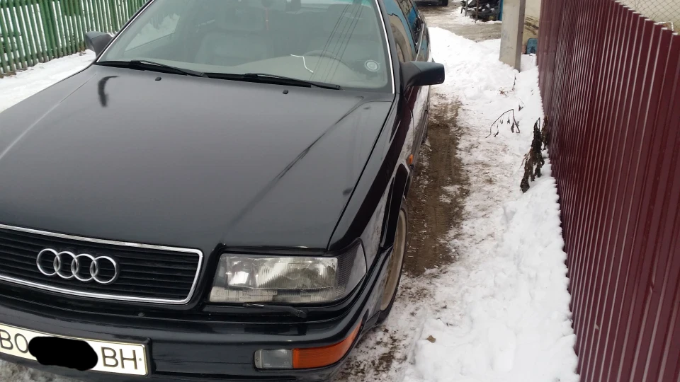 Audi V8 Дама Пік