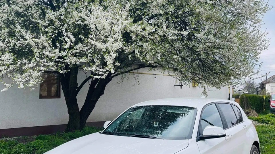 BMW 1 series 2.0 дизель мкпп 2