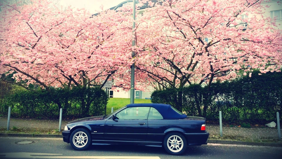 BMW 3 series Convertible Drophead Blue 3