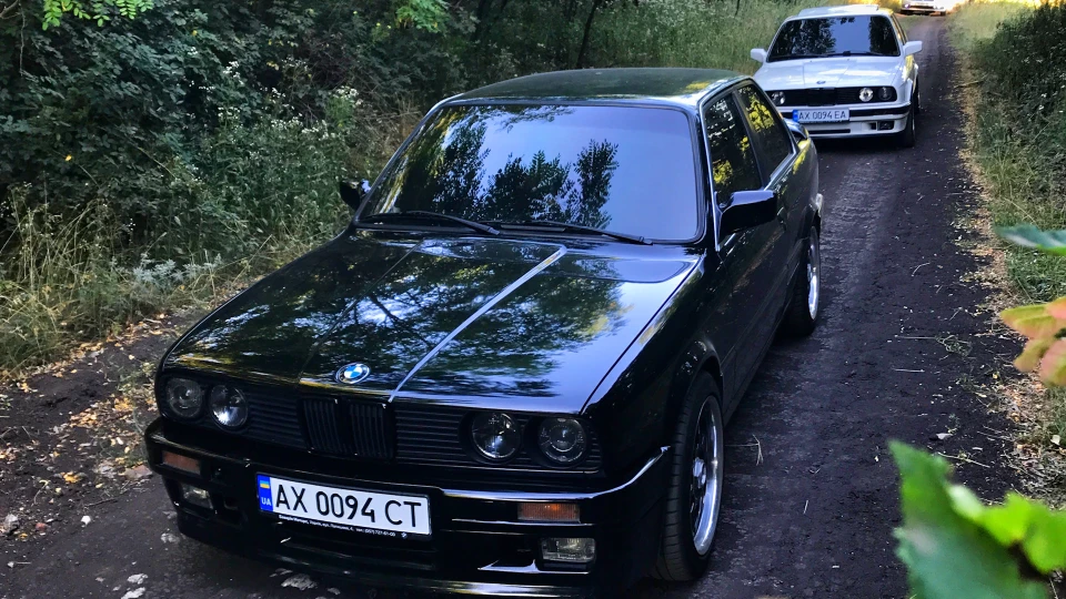316i