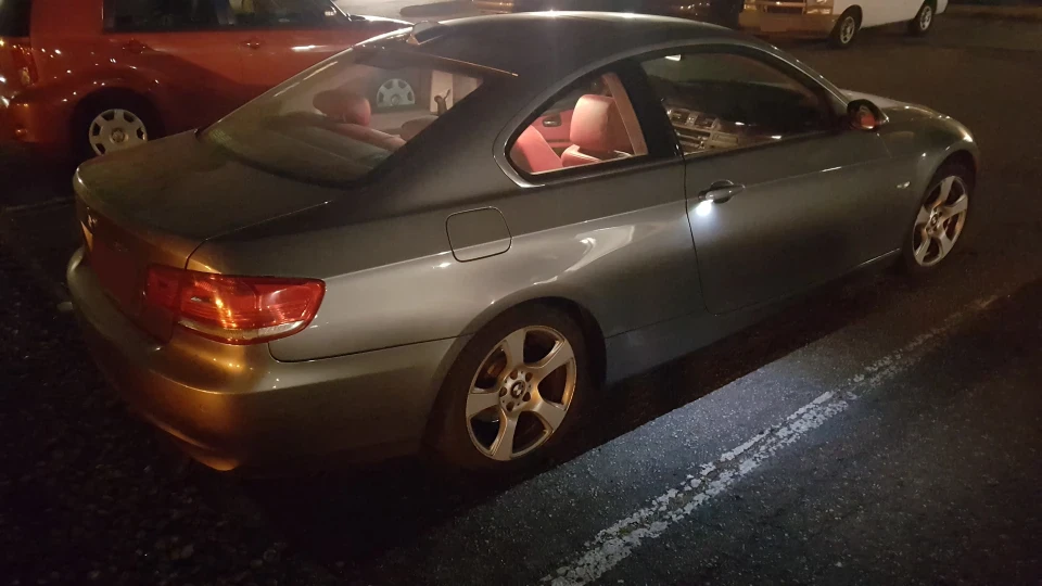 BMW 3 series Coupe Шкіра з дупи крас.дракона 3