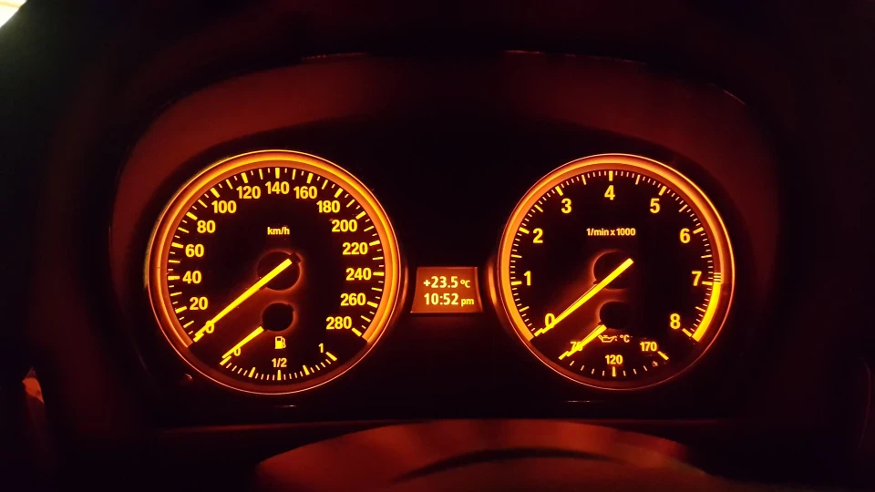 BMW 3 series Coupe Шкіра з дупи крас.дракона 4