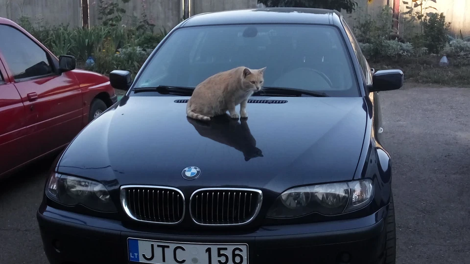 BMW 3 series Touring 18 уже 3