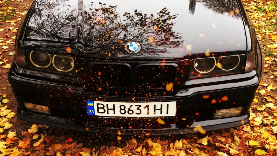 BMW 3 series Touring Турик 2