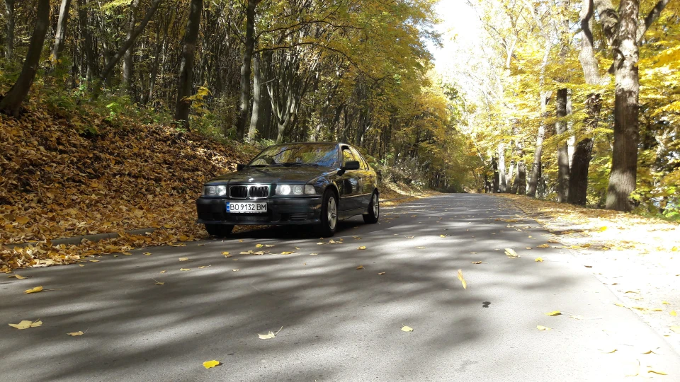 BMW 3 series Bagira 4