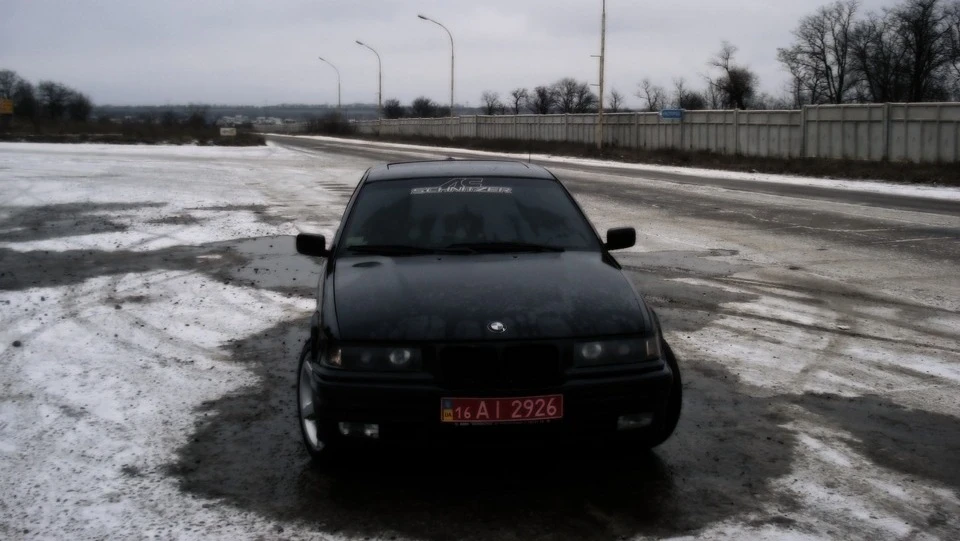 BMW 3 series чорна блондинка 4