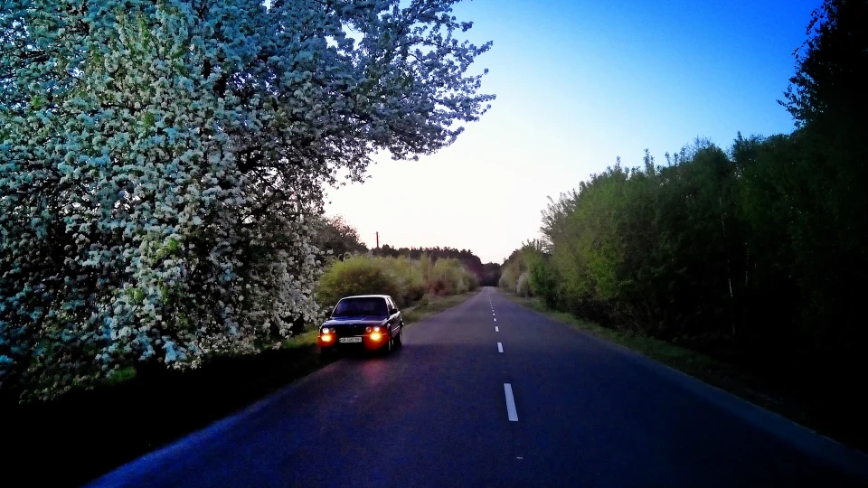 BMW 3 series #Улюбленка 5