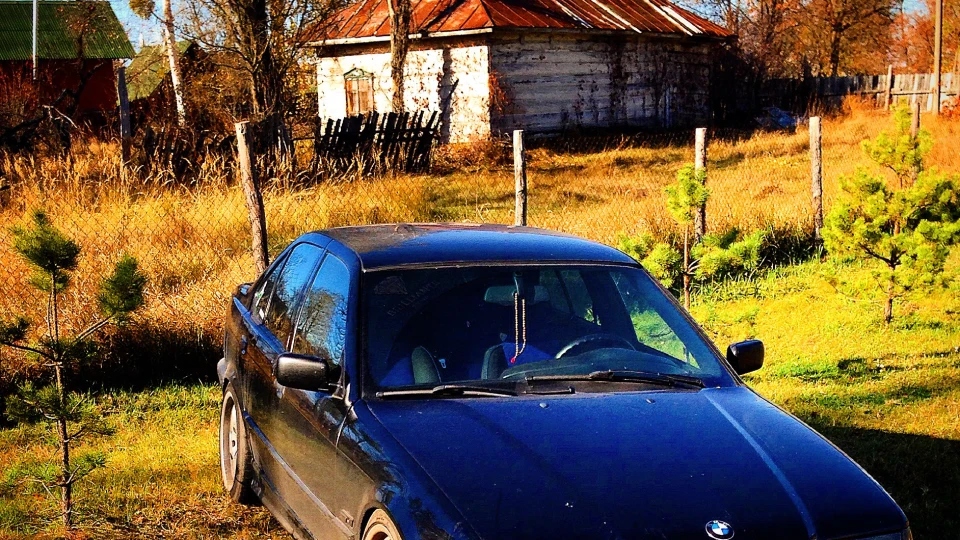 BMW 3 series Миша 2