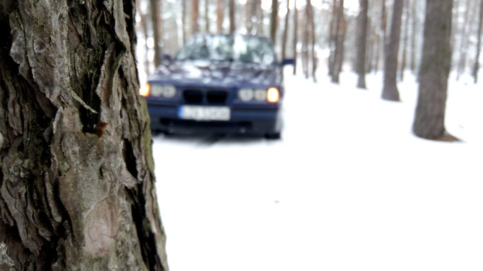 BMW 3 series montrealblau metallic 4