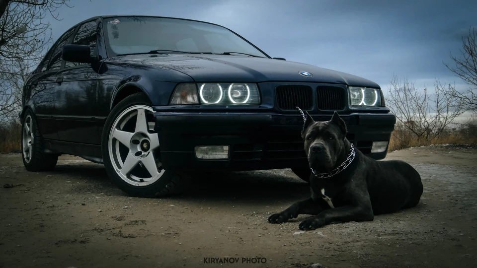 BMW 3 series tirekiller 4