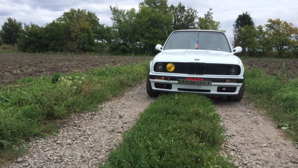 BMW 3 series всепожираюча леді 4