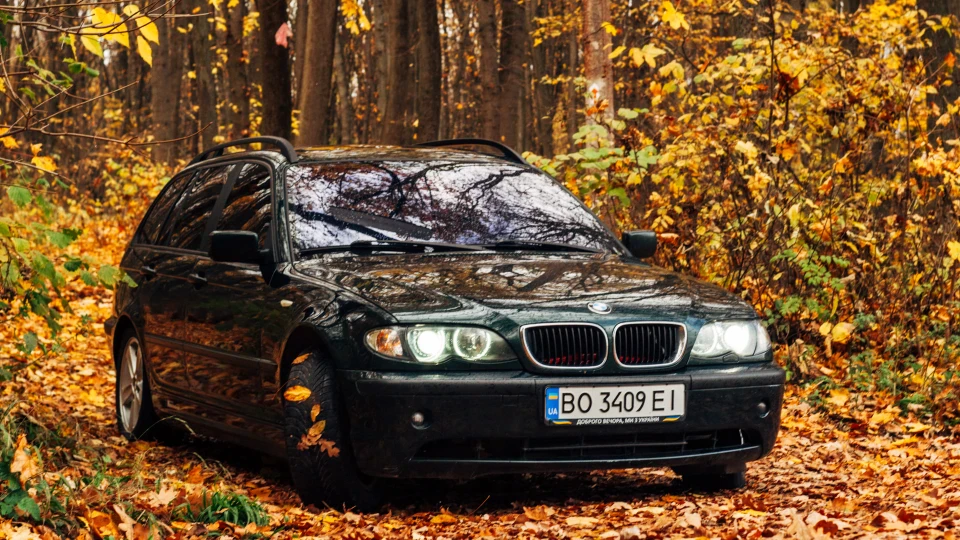 BMW 3 series Зелений очі 2