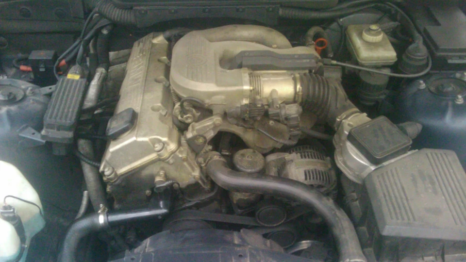 BMW 3 series Злюка BMWшечка 3