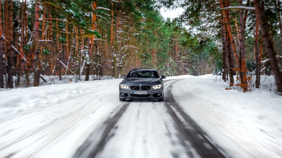 BMW 4 Series Gran Coupe Gray Mouse 5