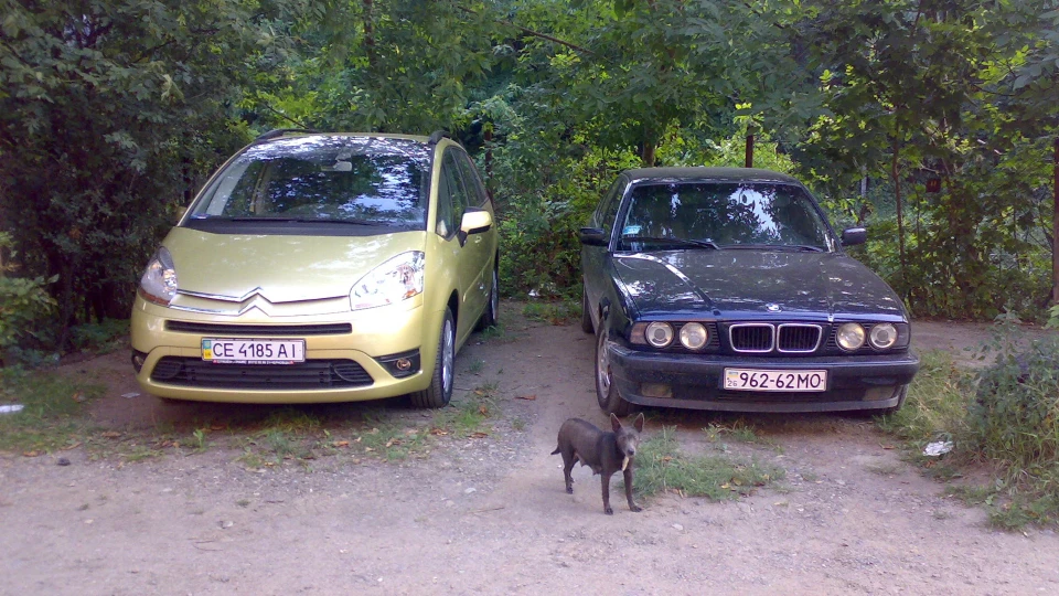 BMW 5 series 3