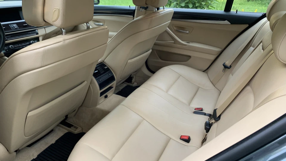 BMW 5 series 528i Tasmanian Snake 🐍 2