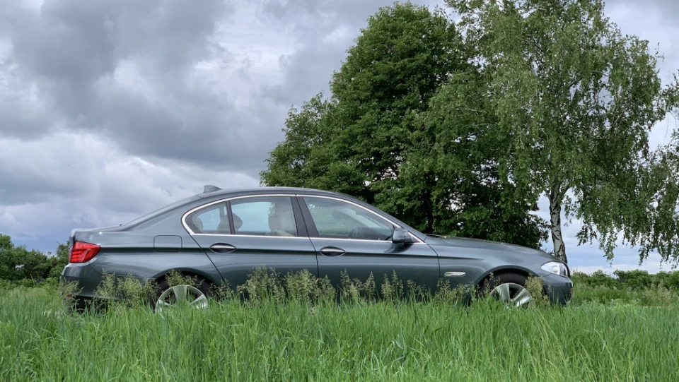 BMW 5 series 528i Tasmanian Snake 🐍 3