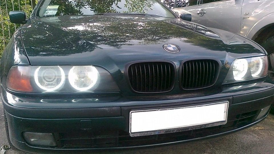 BMW 5 series Баварський алігатор 2