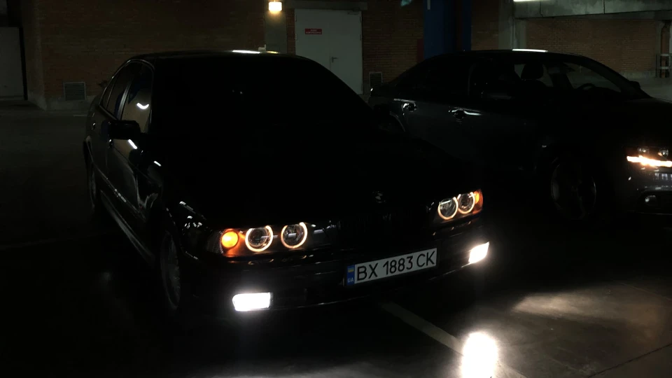 BMW 5 series BLACKGUARD 🐺
