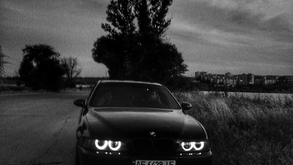 BMW 5 series BMW e39 530i "Barracuda" 5