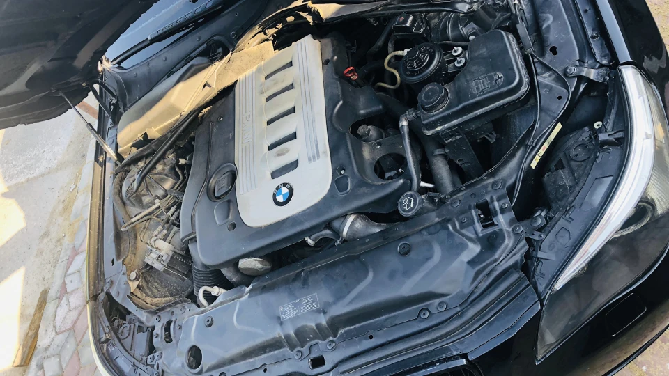 BMW 5 series Брюнетка 5