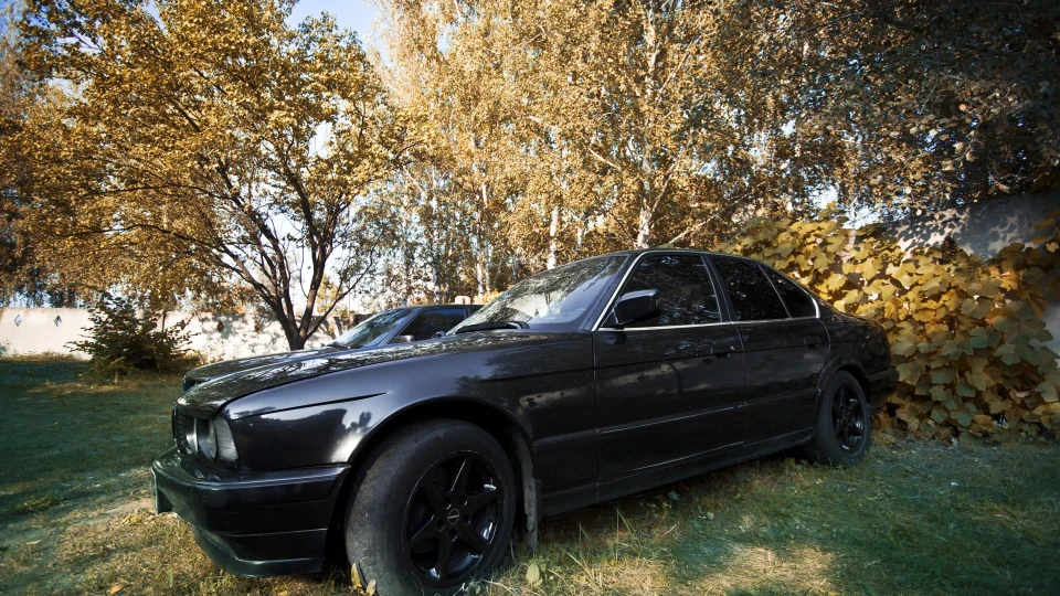 BMW 5 series Чорний Таракан 3