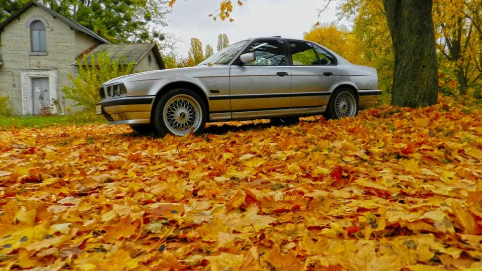 BMW 5 series CHRISTINE 3