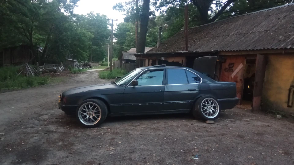 BMW 5 series Daffy Duck 5