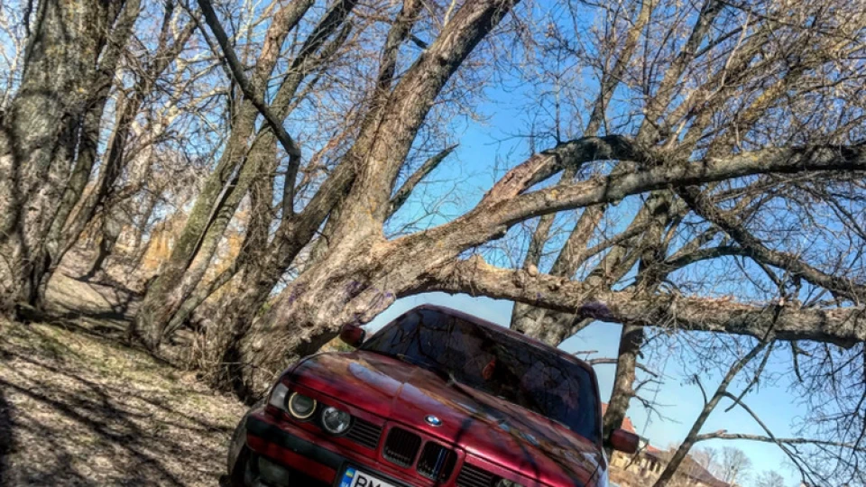 BMW 5 series Довгоочікувана 5