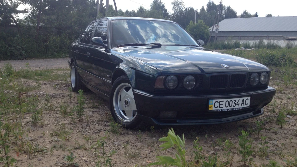 BMW 5 series Green Shark